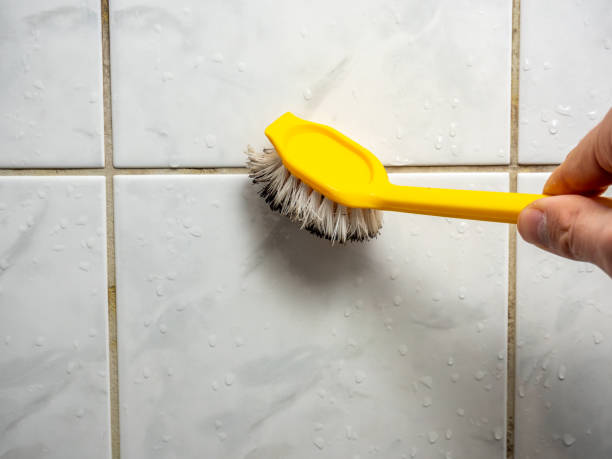 Best Professional Mold Removal  in Douglass Hills, KY