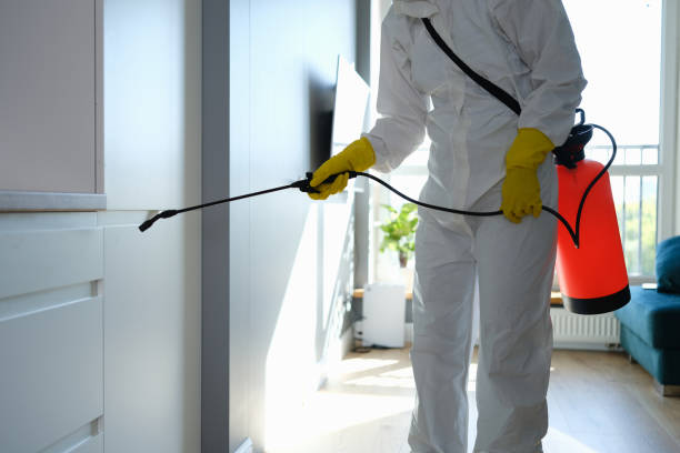 Mold Removal and Inspection in Douglass Hills, KY